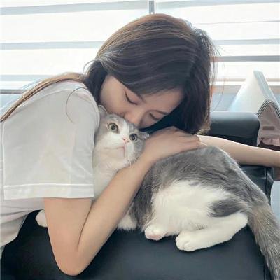 疯狂的狮王